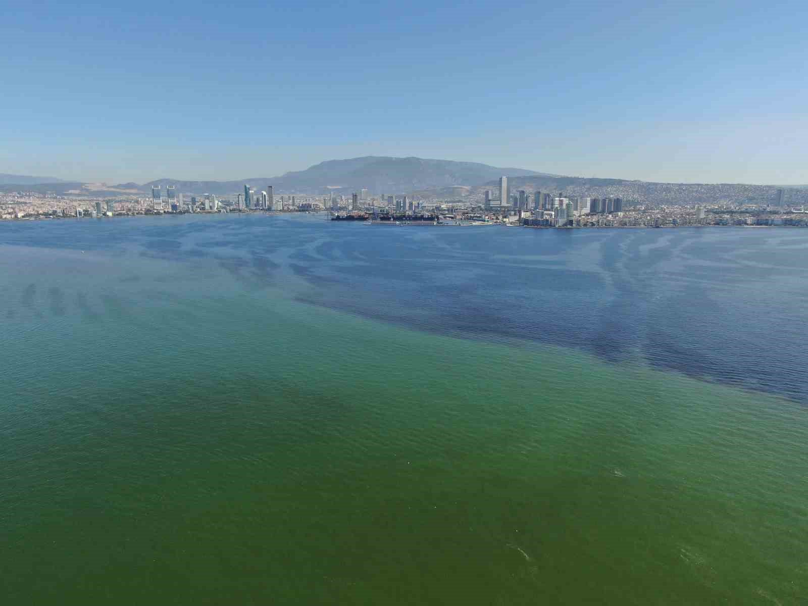 İzmir Körfezi’nde bilindik manzara: Yine binlerce ölü balık görüldü
