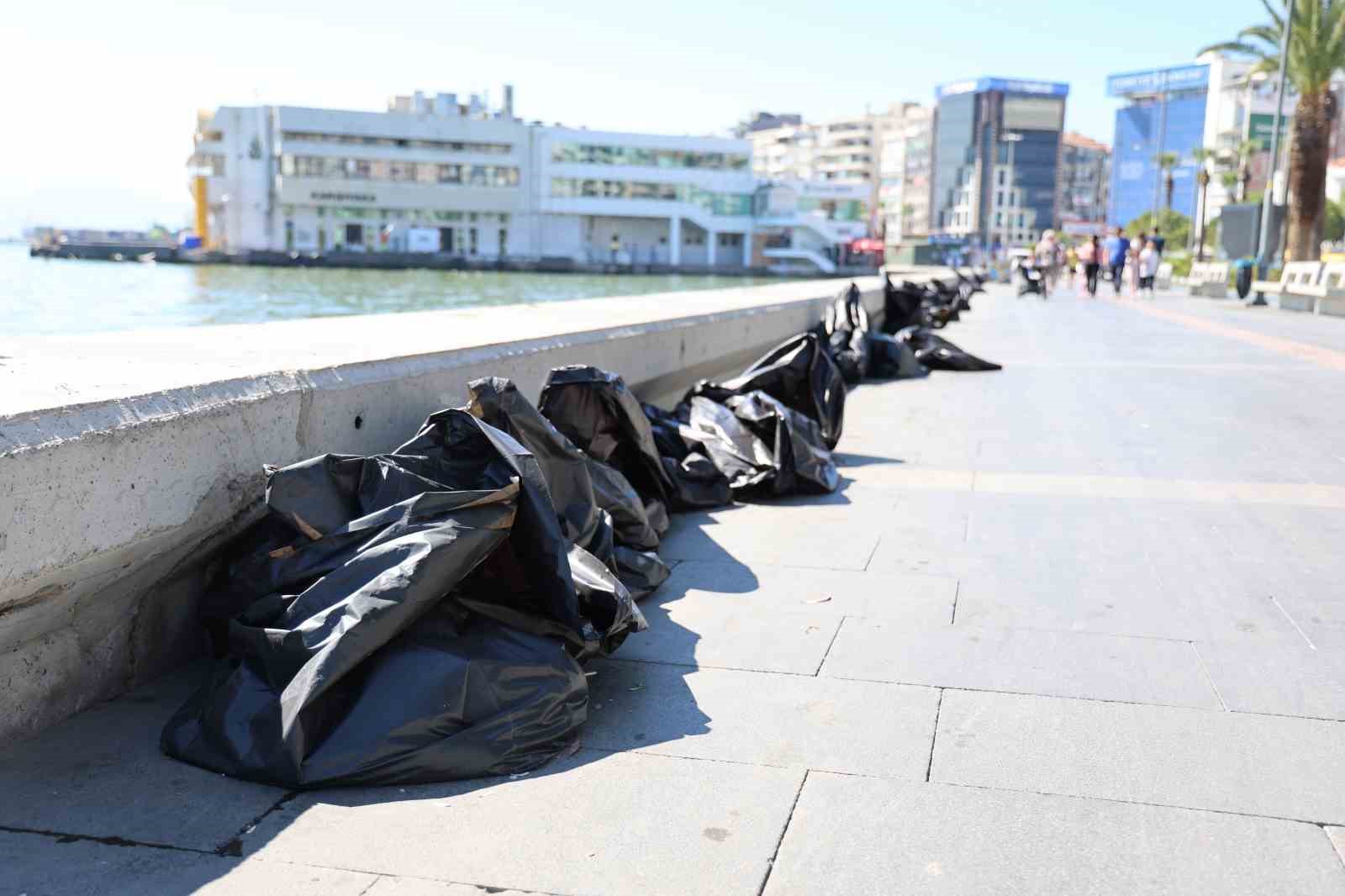 İzmir Körfezi’nde bilindik manzara: Yine binlerce ölü balık görüldü
