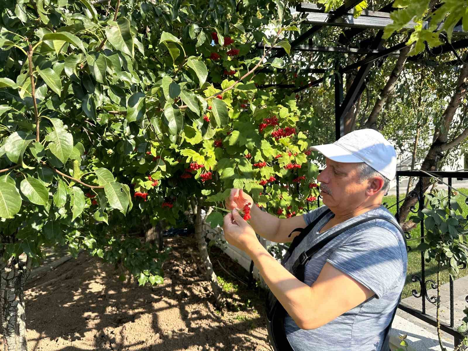 Başkan Yalçın’dan bahçe bozumu
