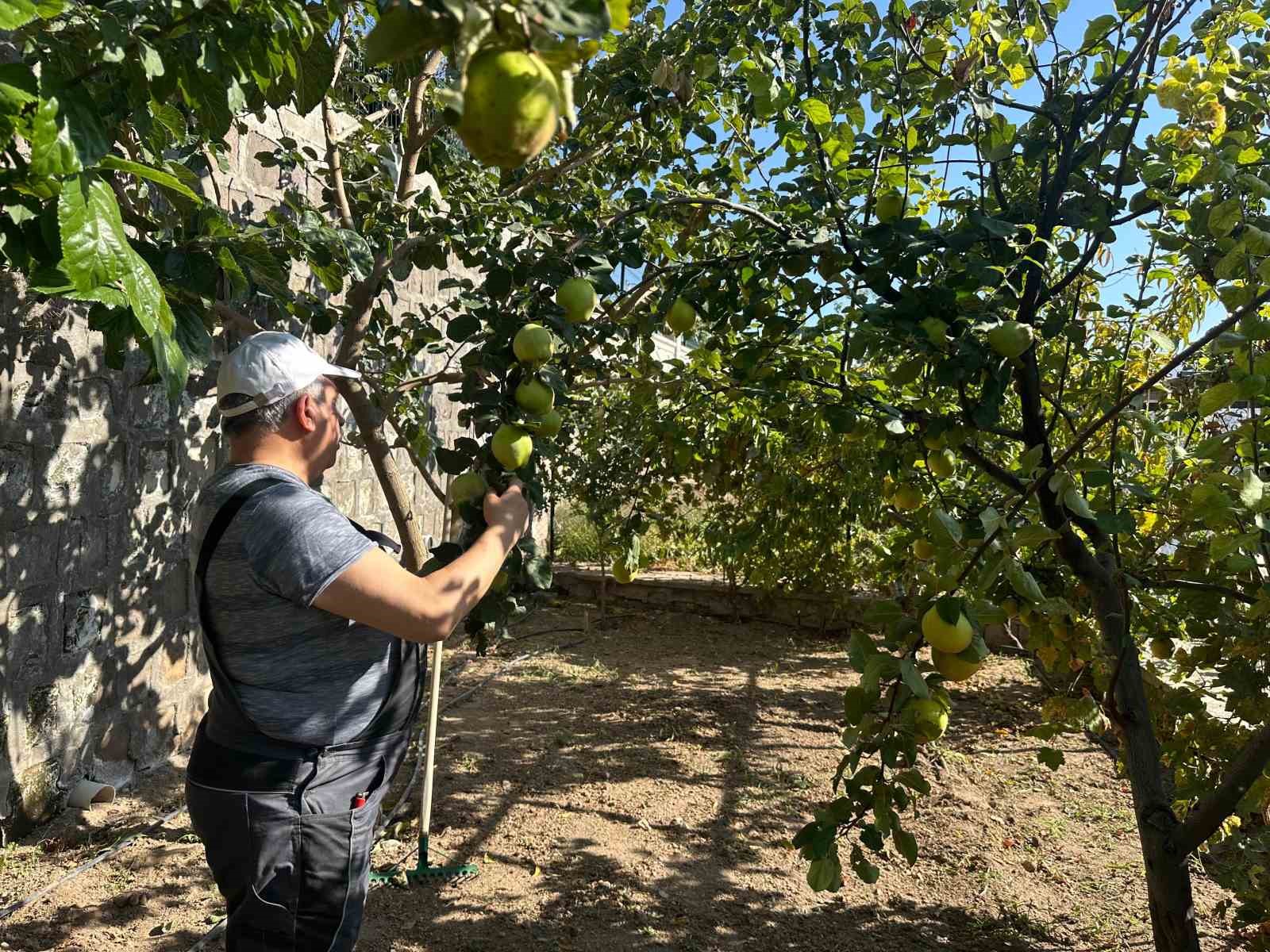 Başkan Yalçın’dan bahçe bozumu
