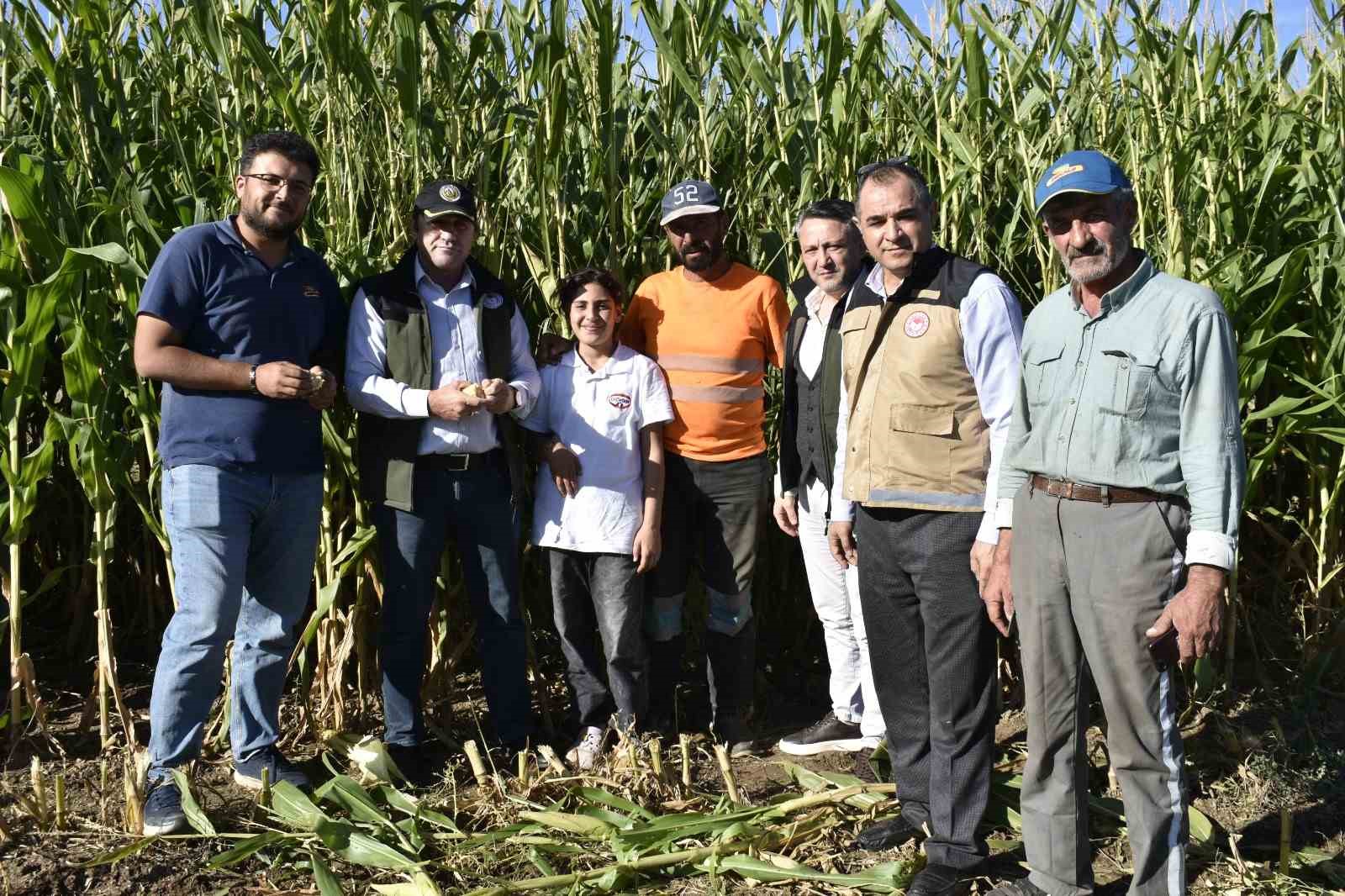 Bayburt’ta silajlık mısır hasadı başladı
