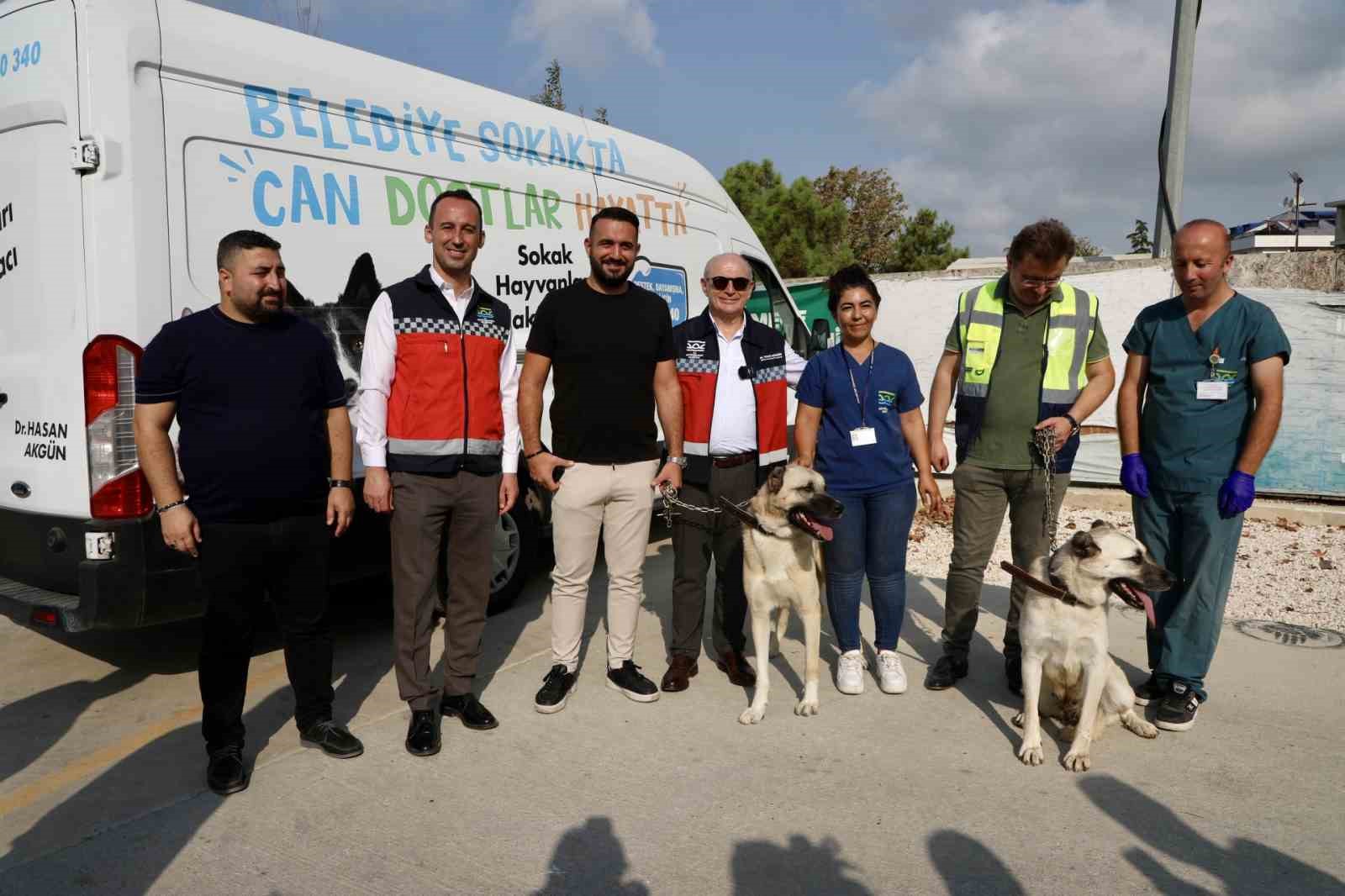 176 sokak köpeği bekçi köpeği oldu
