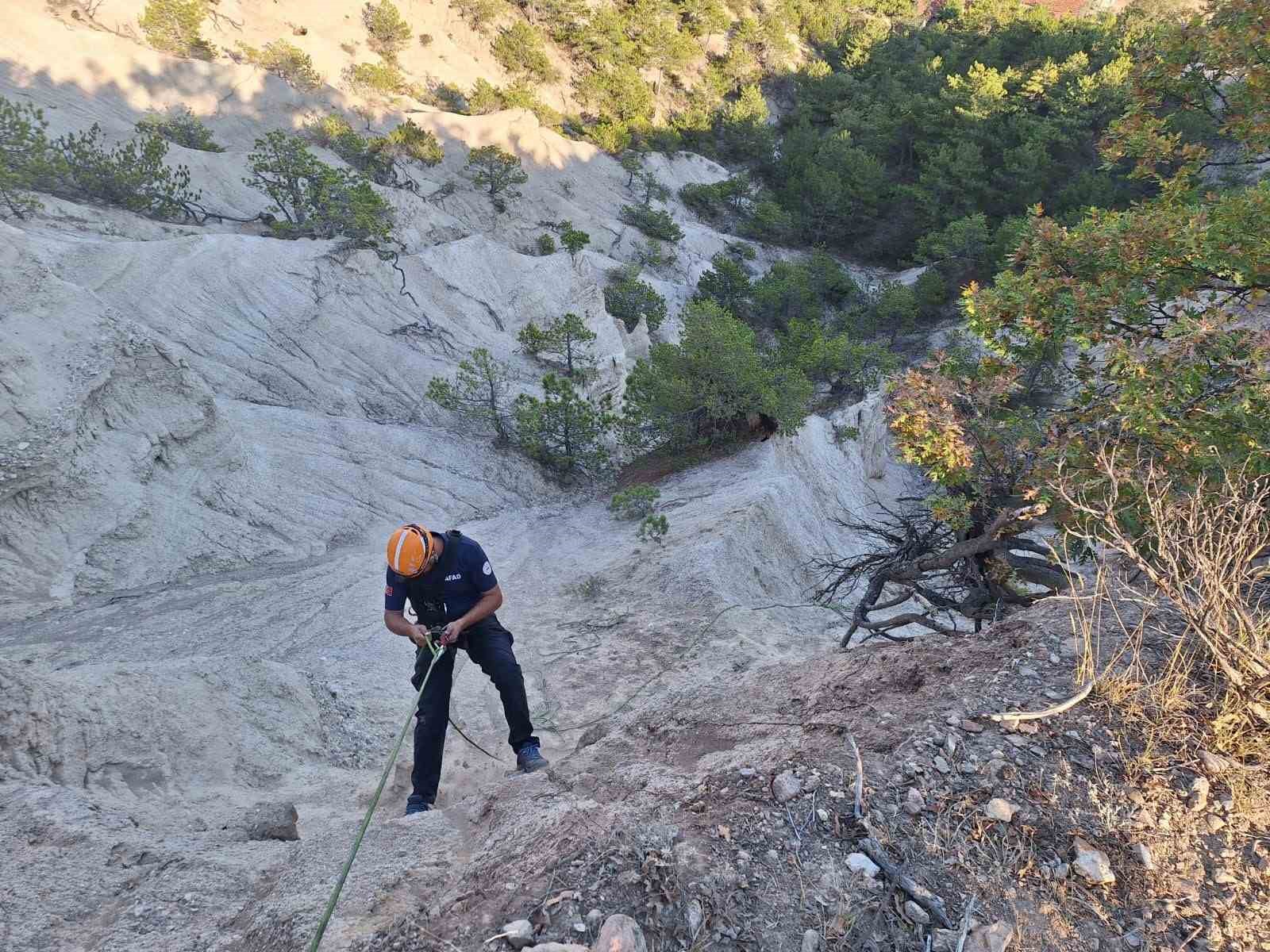 Yamaca sıkışan keçi AFAD ekiplerince kurtarıldı
