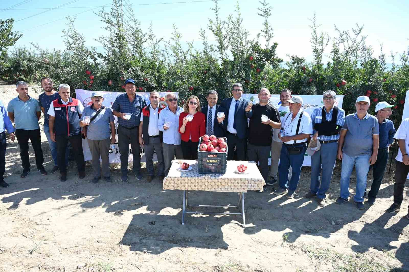 Zararlılarla mücadelede kullanılan akıllı böcekler gıda güvenliğini artırdı
