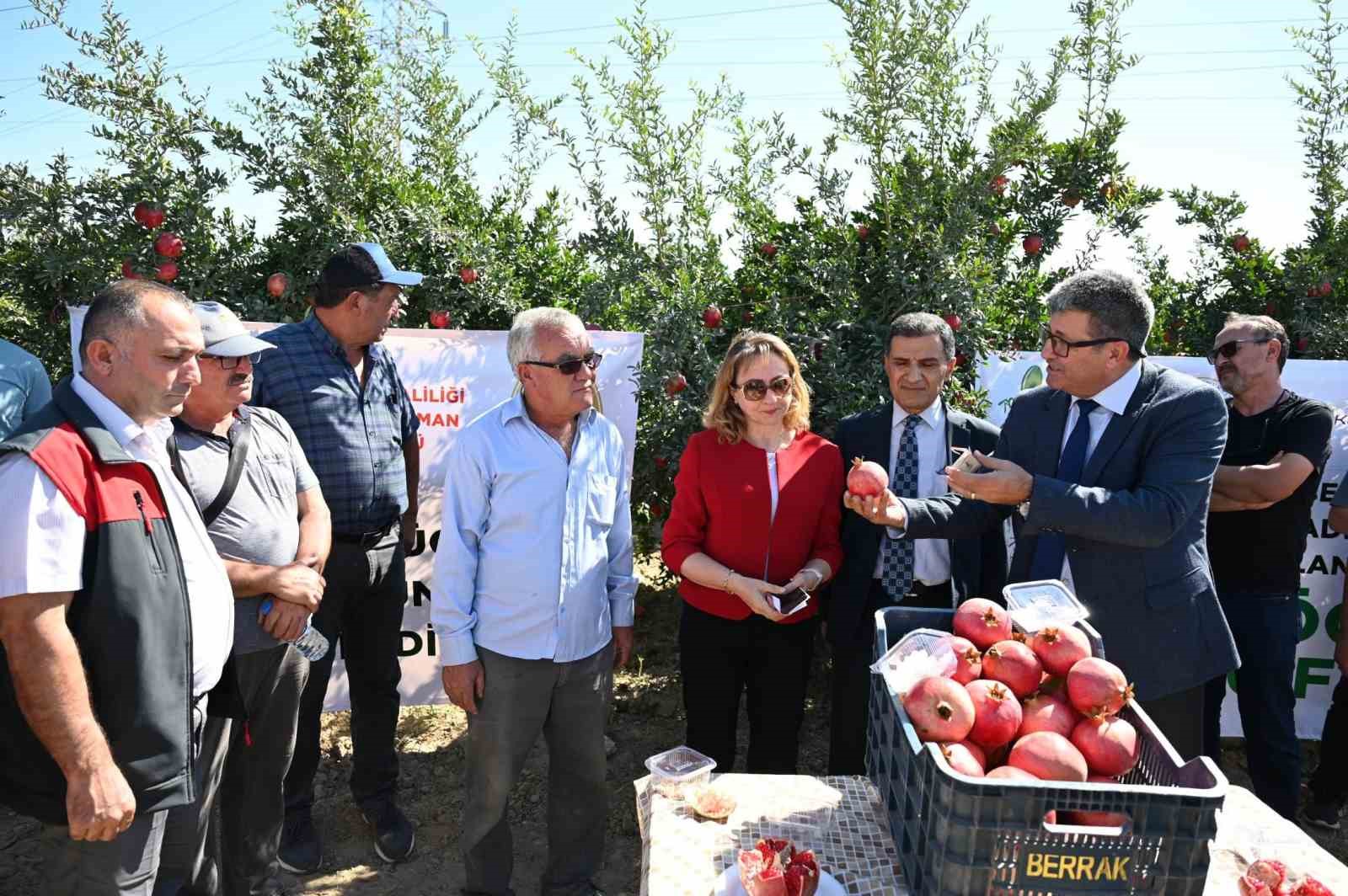 Zararlılarla mücadelede kullanılan akıllı böcekler gıda güvenliğini artırdı
