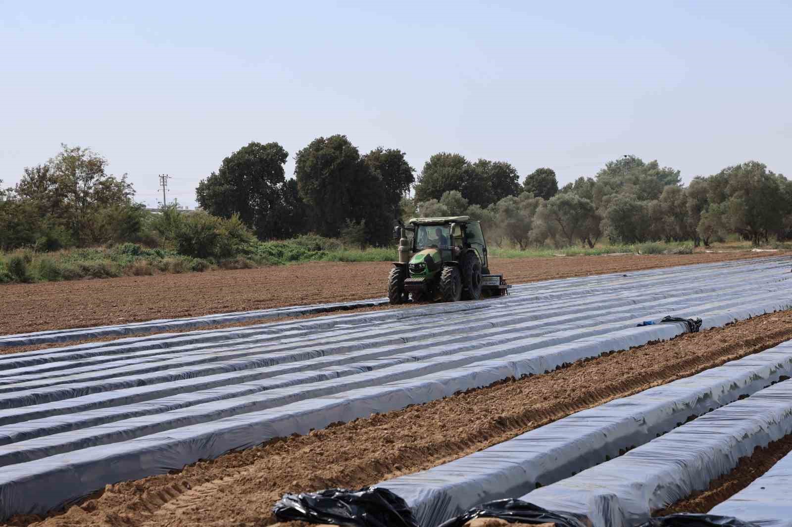 Son yıllarda altın yıllarını yaşayan çilek üreticisi tarlaya erken indi
