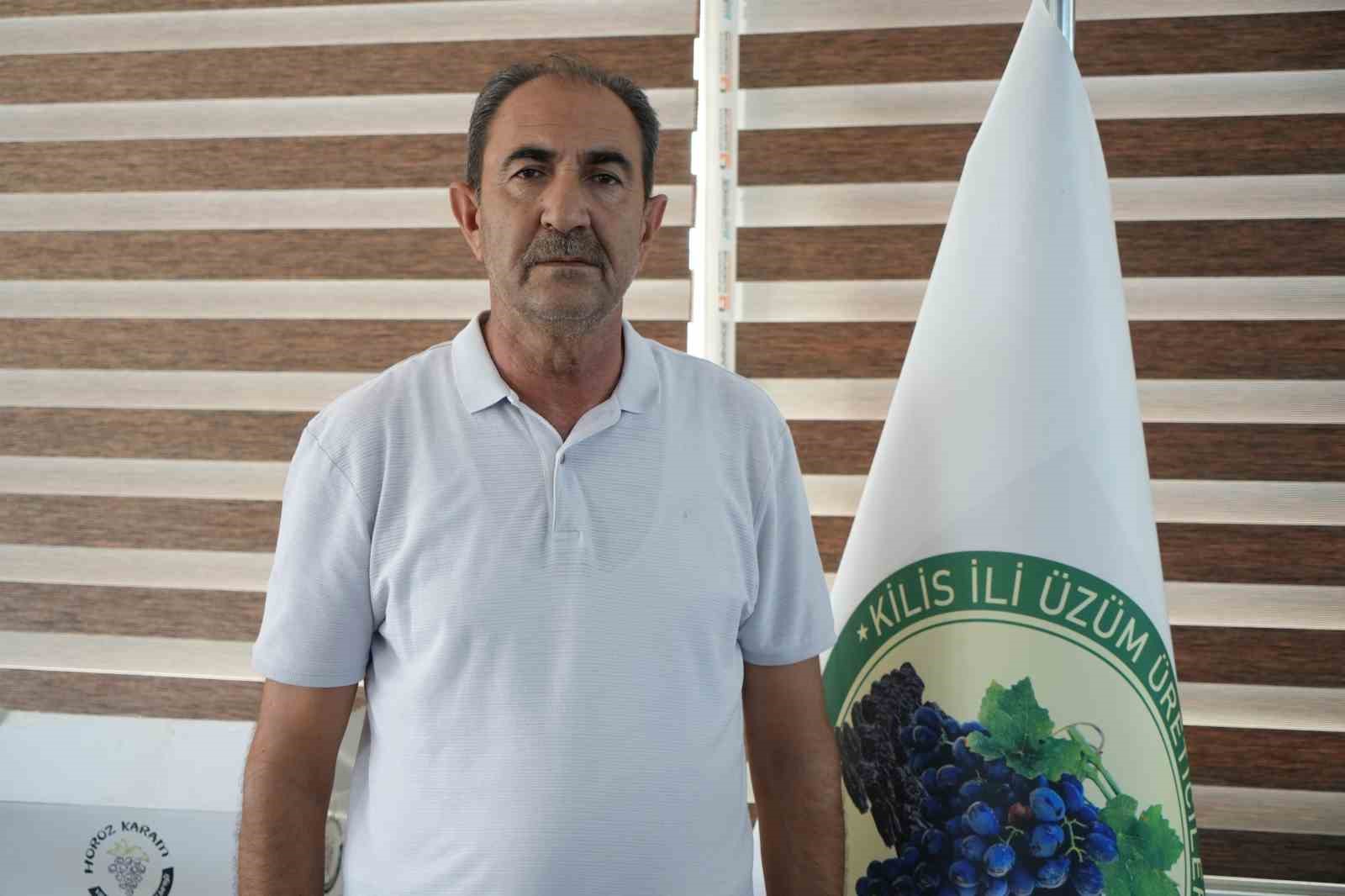 ‘Horoz karası üzümü’nün sofralara yolculuğu başladı
