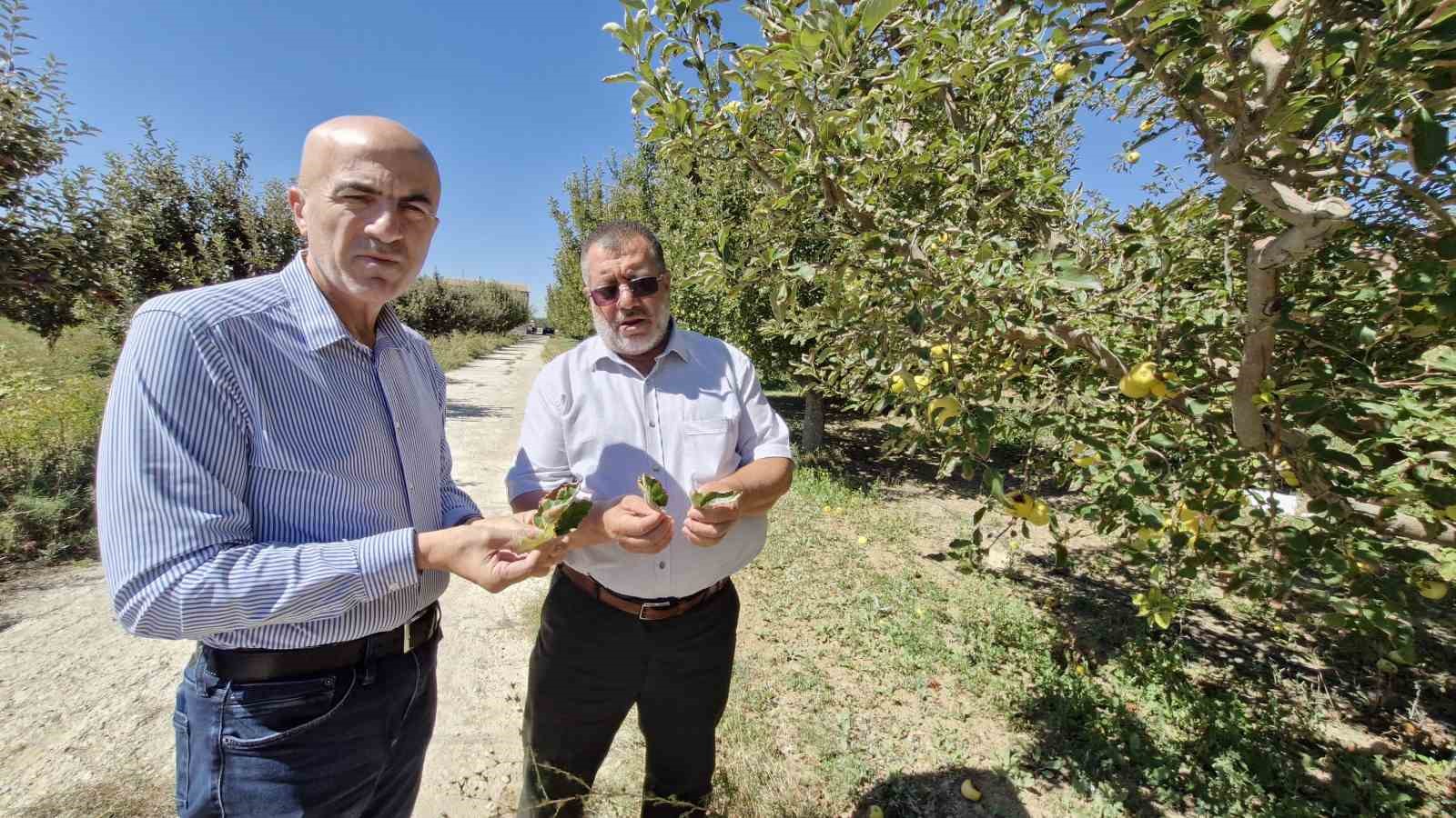 Kuyulardan tuzlu su çıkması çiftçileri tedirgin etti
