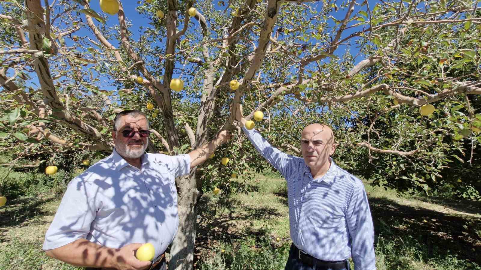 Kuyulardan tuzlu su çıkması çiftçileri tedirgin etti
