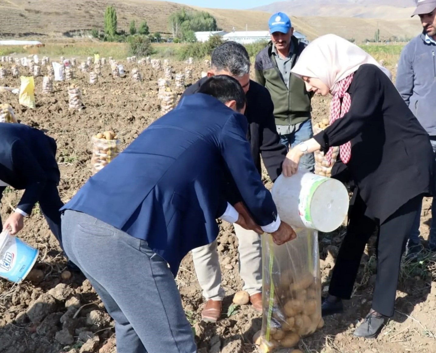 Kaymakam Duman traktör binip, patates hasat etti
