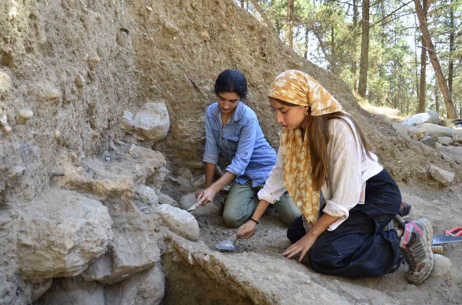 Yeni tip kaplıca buğdayın en eski kalıntıları sadece Anadolu’da tespit edildi
