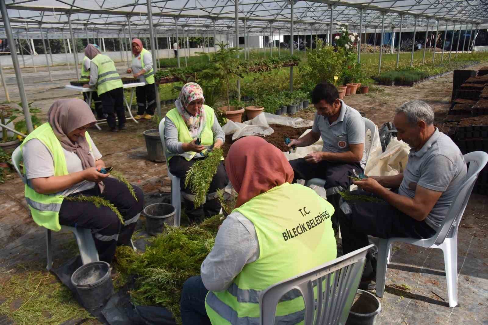 Bilecik Belediyesi kendi kendi serasında binlerce çiçek yetiştiriyor
