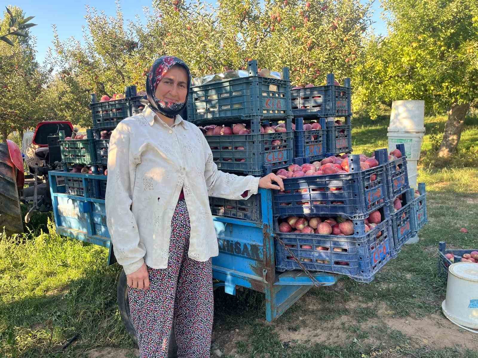 Elma verimi üreticinin yüzünü güldürdü
