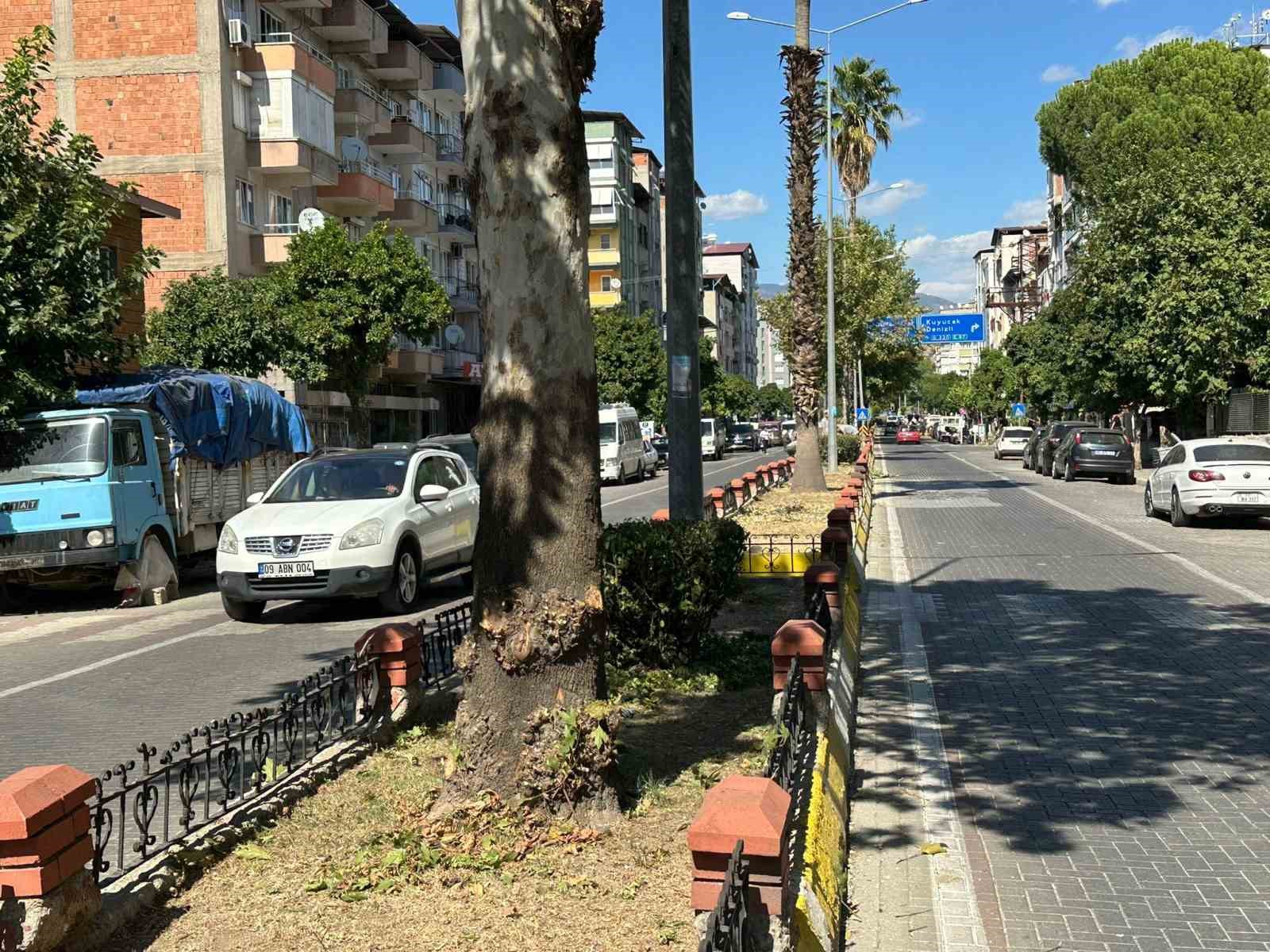 Nazilli Belediyesi kış hazırlıklarına hızla devam ediyor
