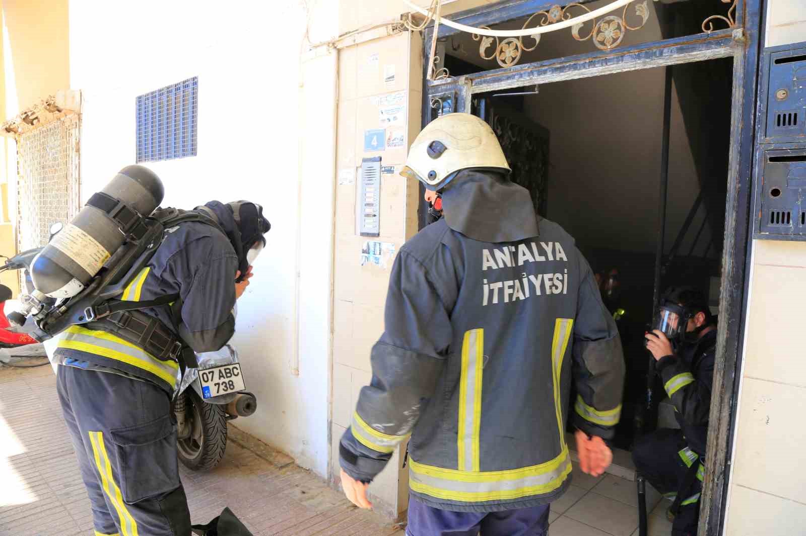 Bodrum katta çıkan yangın sonrası yavru kedi alarmı
