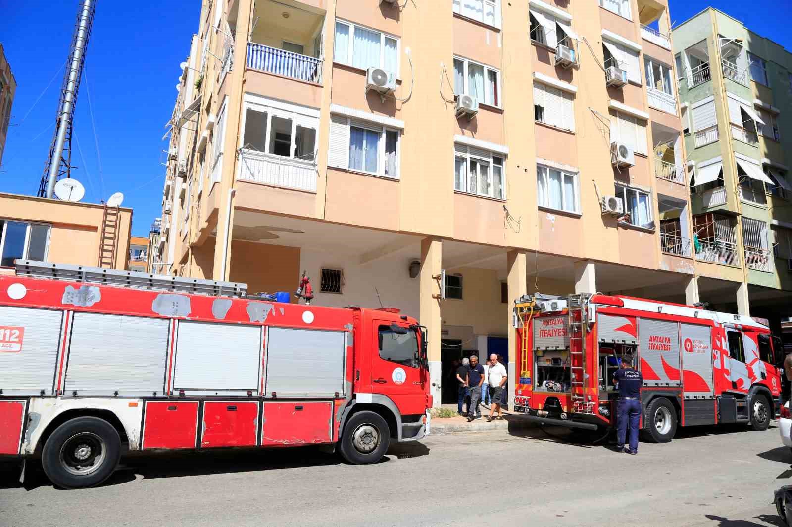 Bodrum katta çıkan yangın sonrası yavru kedi alarmı
