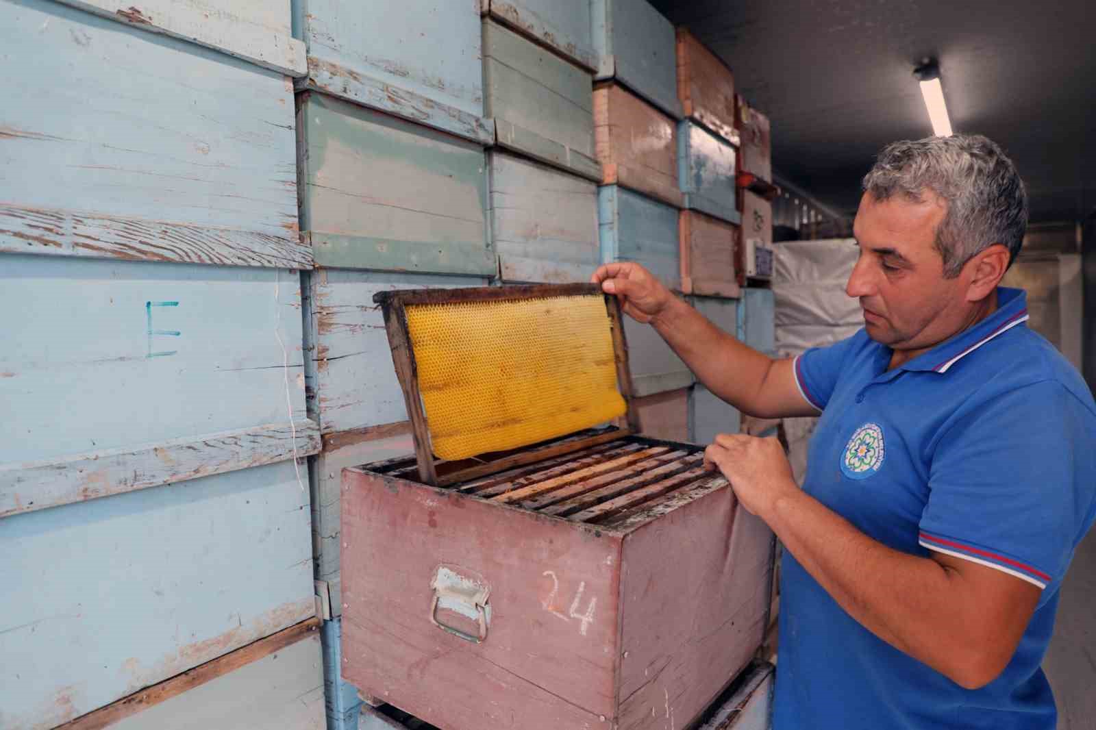 Yerel yönetimler arasında bir ilk: Temiz Petek Projesi
