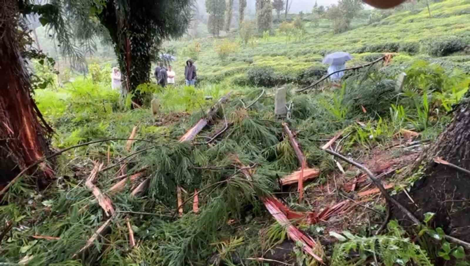 Rize’de ağaca yıldırım düştü, yanındaki ev hasar gördü
