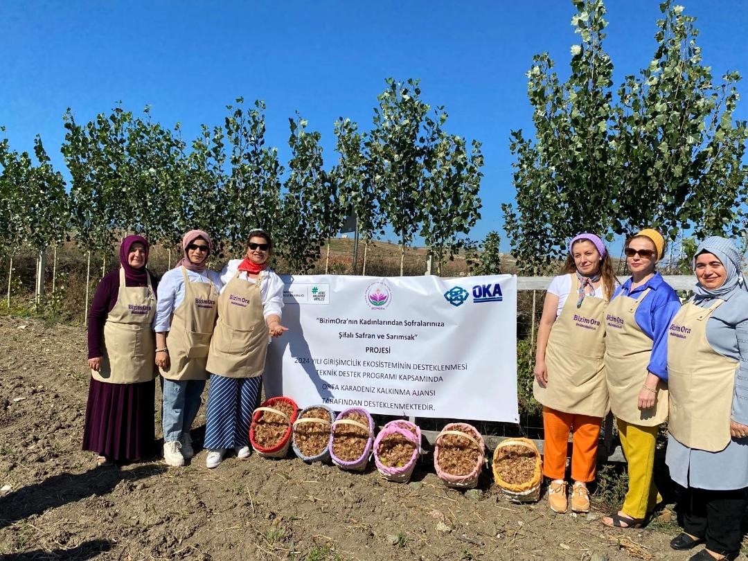 Çorum’da “BizimOra’lı kadınların şifalı safran ve sarımsak projesine OKA desteği
