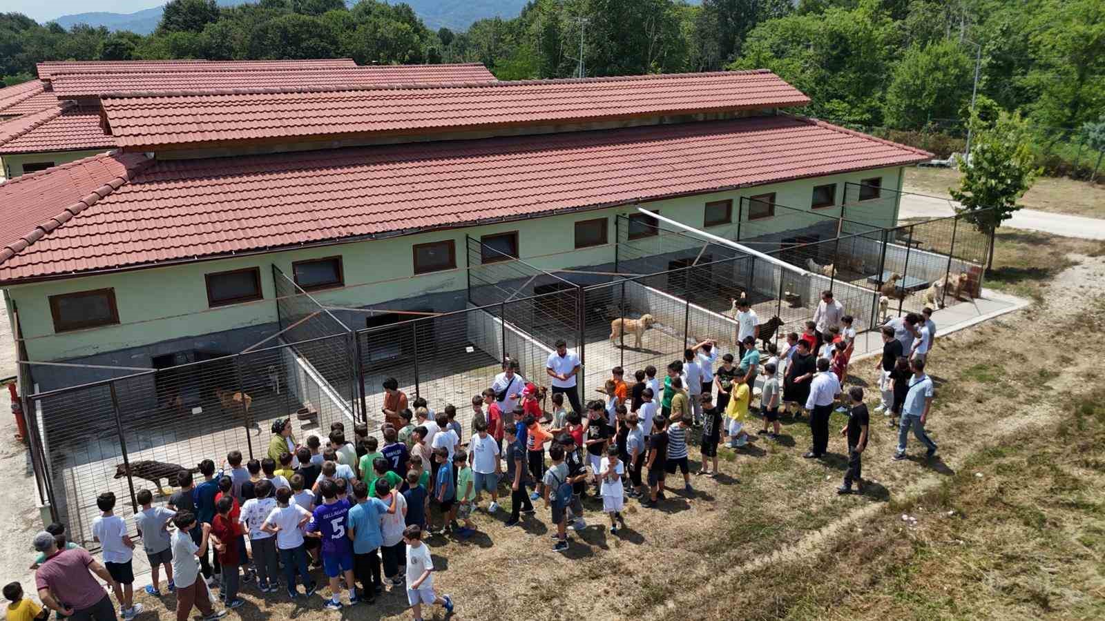 Düzce belediyesi sokak hayvanlarının yanında
