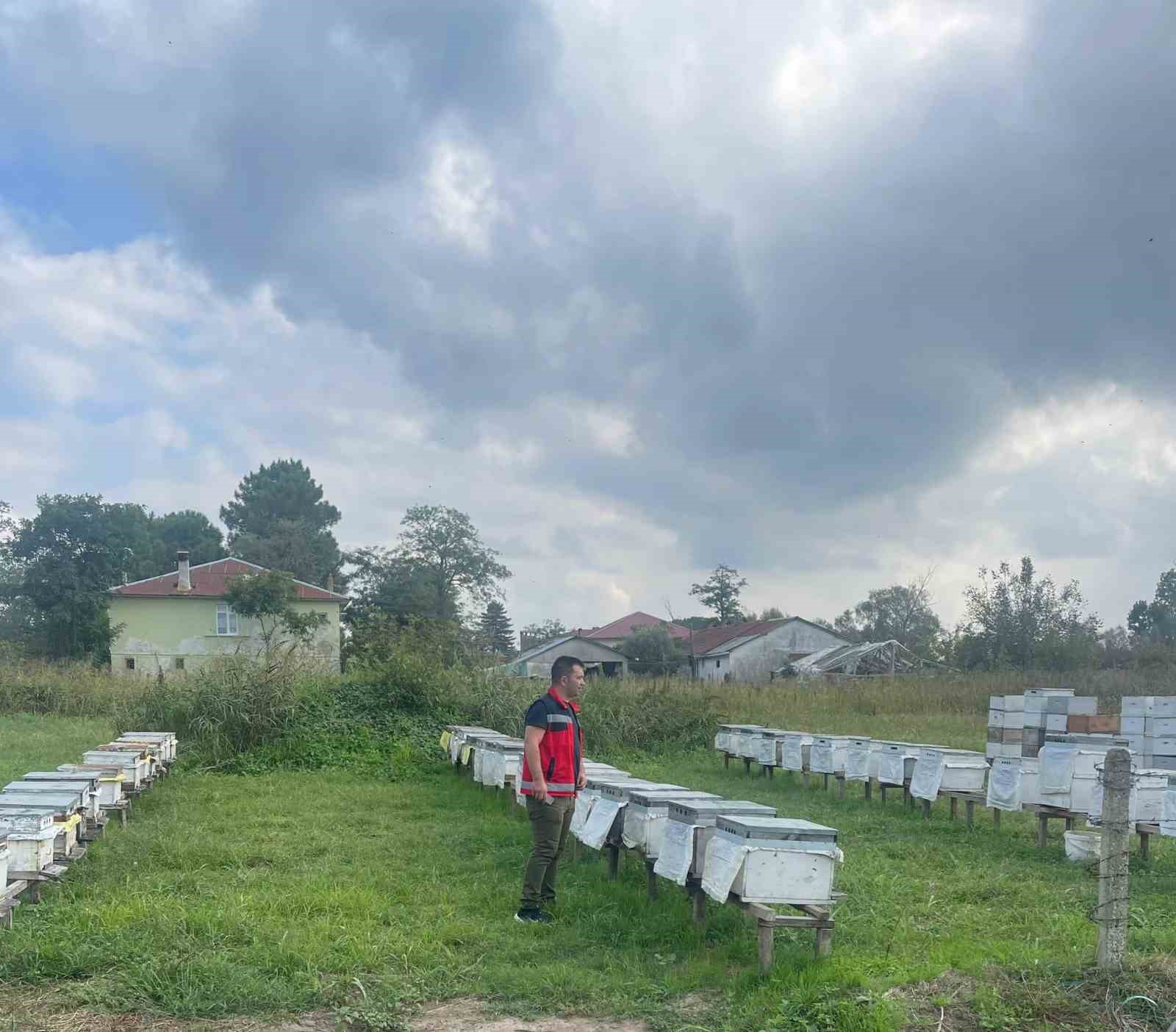 Sonbahar şap aşılama dönemi başladı
