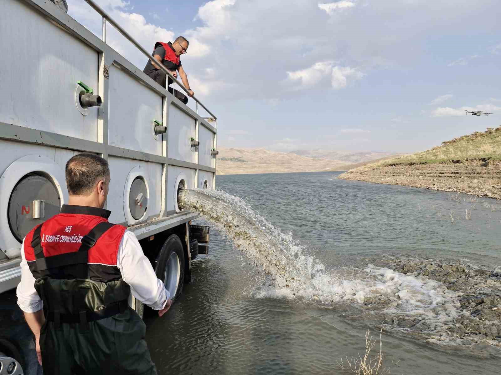 Muş’ta göl ve baraj göletlerine 4 milyon yavru sazan bırakıldı
