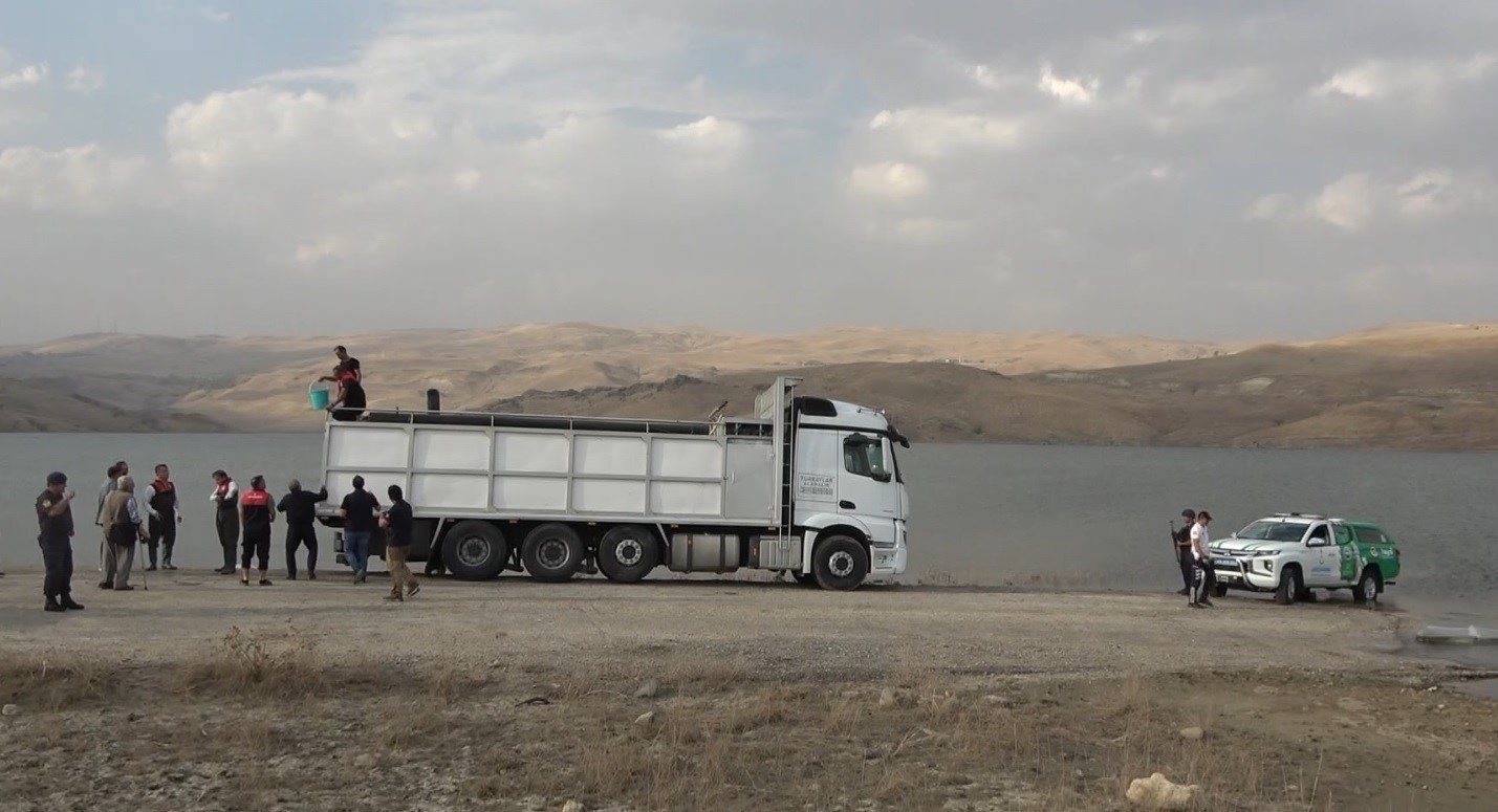 Muş’ta göl ve baraj göletlerine 4 milyon yavru sazan bırakıldı
