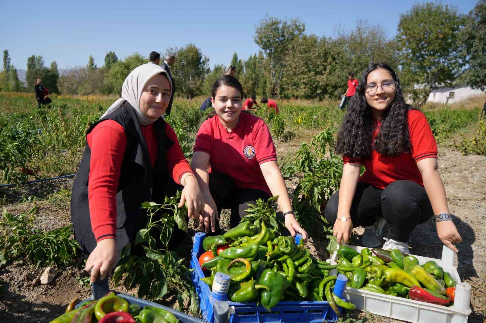 Hem öğreniyor, hem üretiyor, hem de kazanıyorlar
