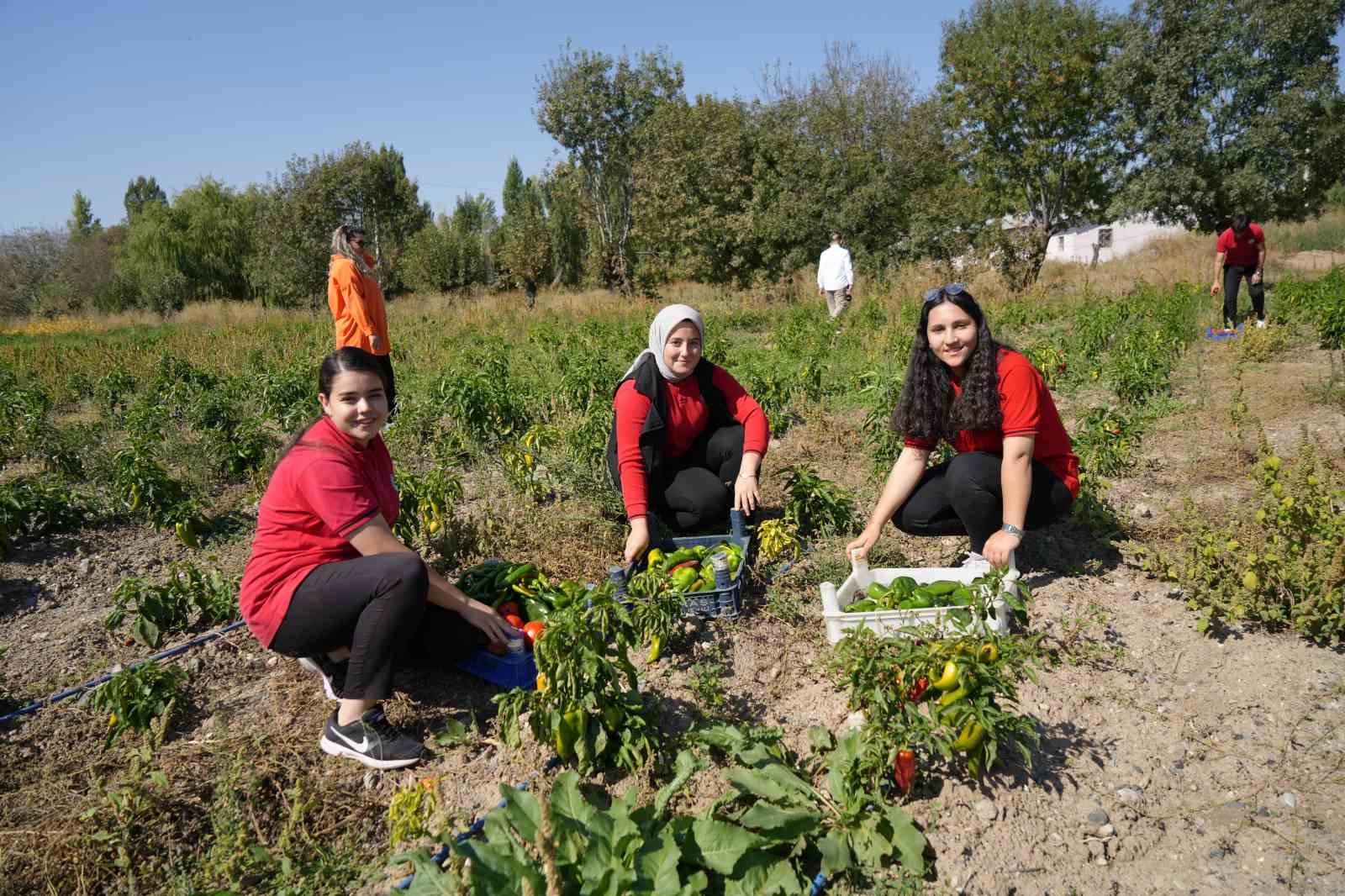 Hem öğreniyor, hem üretiyor, hem de kazanıyorlar
