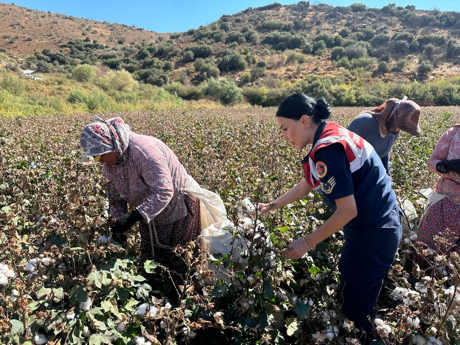 Jandarma ekipleri yaşlı çınarları unutmadı
