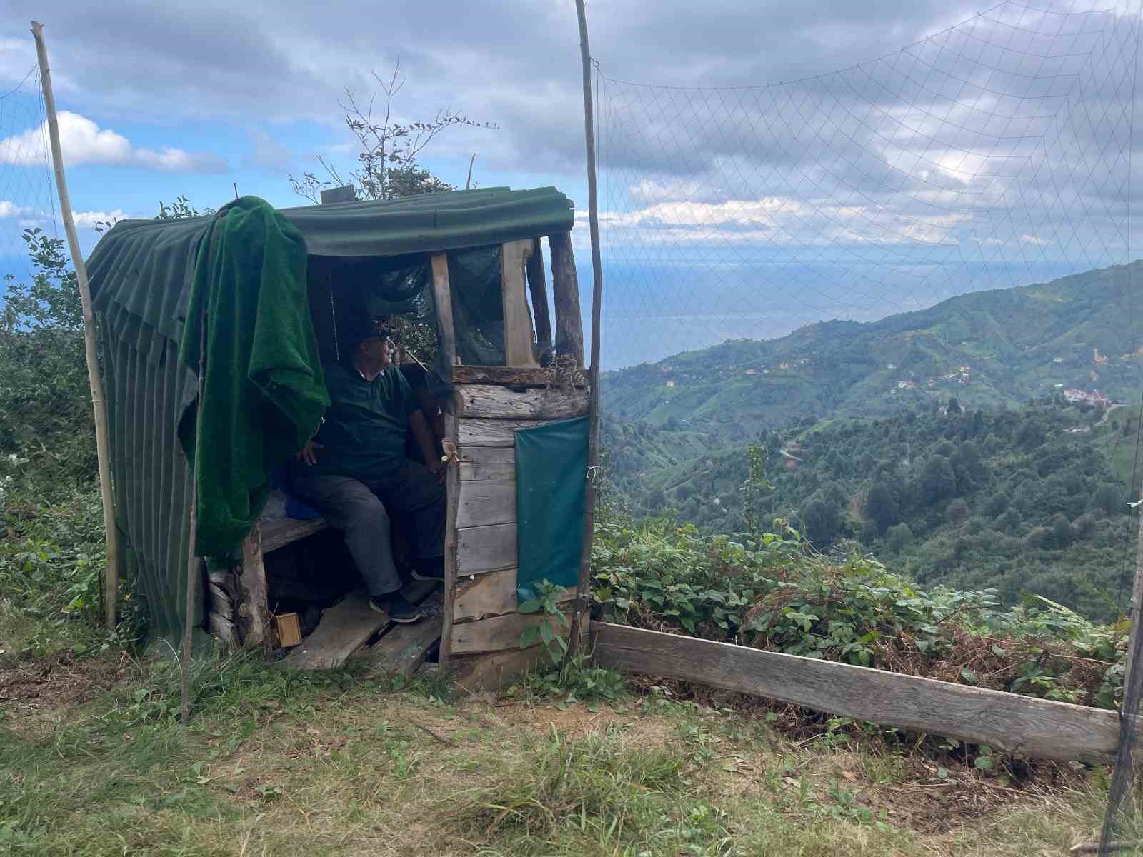 Rize’de ’atmaca’cılık geleneği dededen toruna babadan oğula sürdürülüyor
