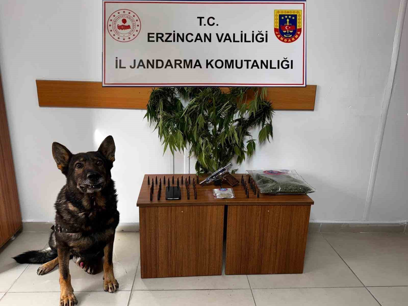 Erzincan’da jandarma suç olaylarına geçit vermiyor
