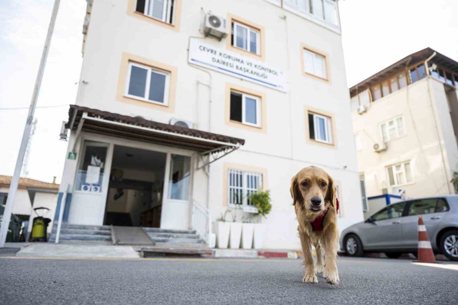 Yaşamı Sahiplen Destek Büyükşehirden kampanyası sürüyor
