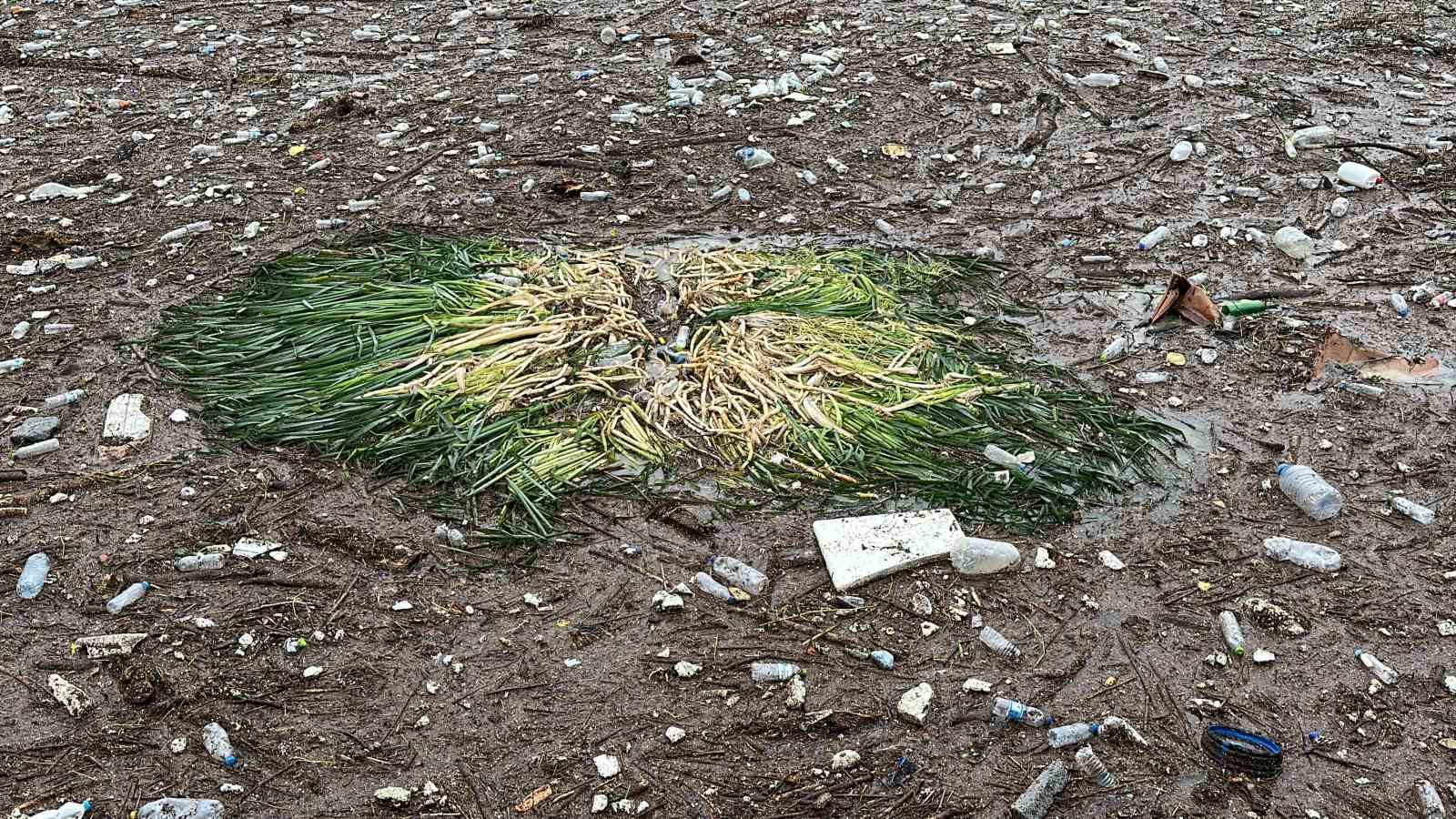 Sağanak ve fırtına sonrası Zonguldak sahilinde çevre kirliliği oluştu
