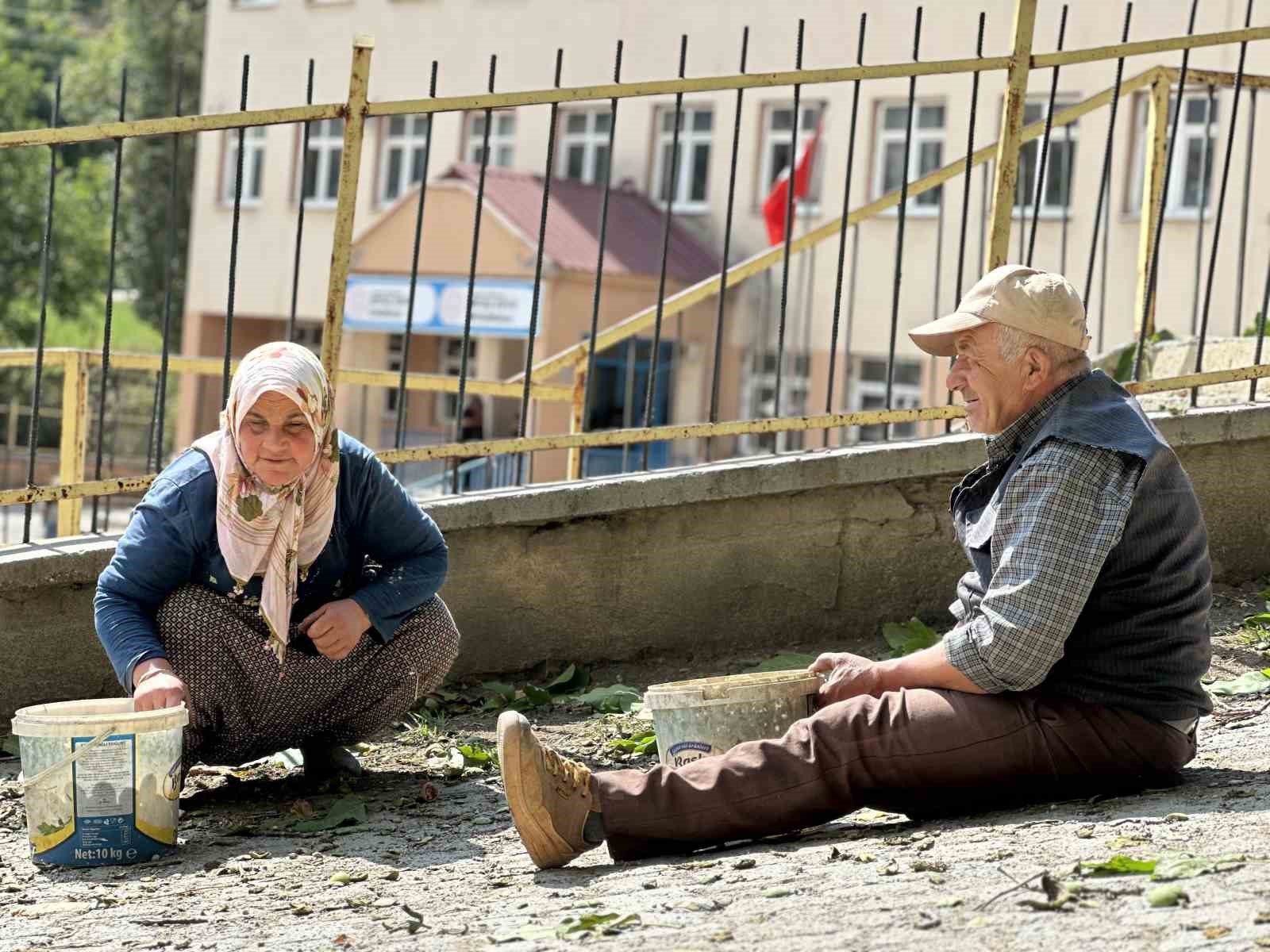 Okul yolunda ceviz ikramı
