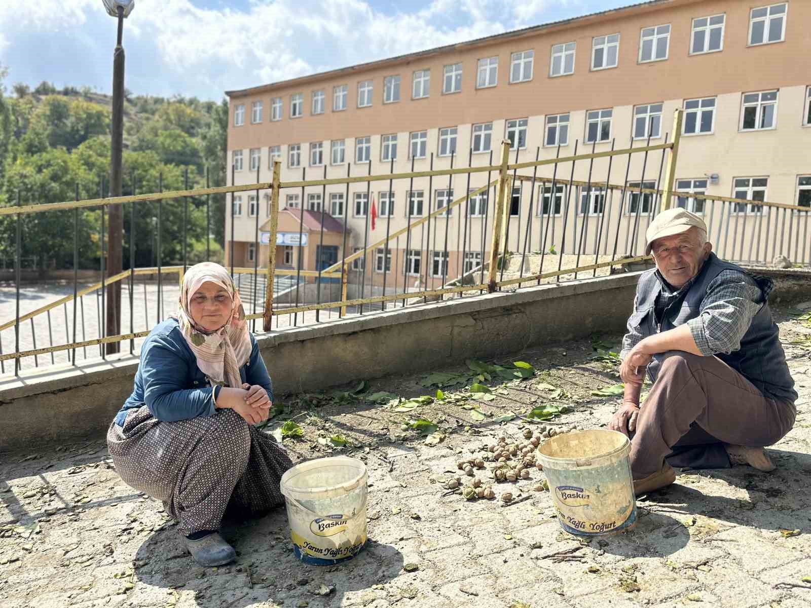 Okul yolunda ceviz ikramı
