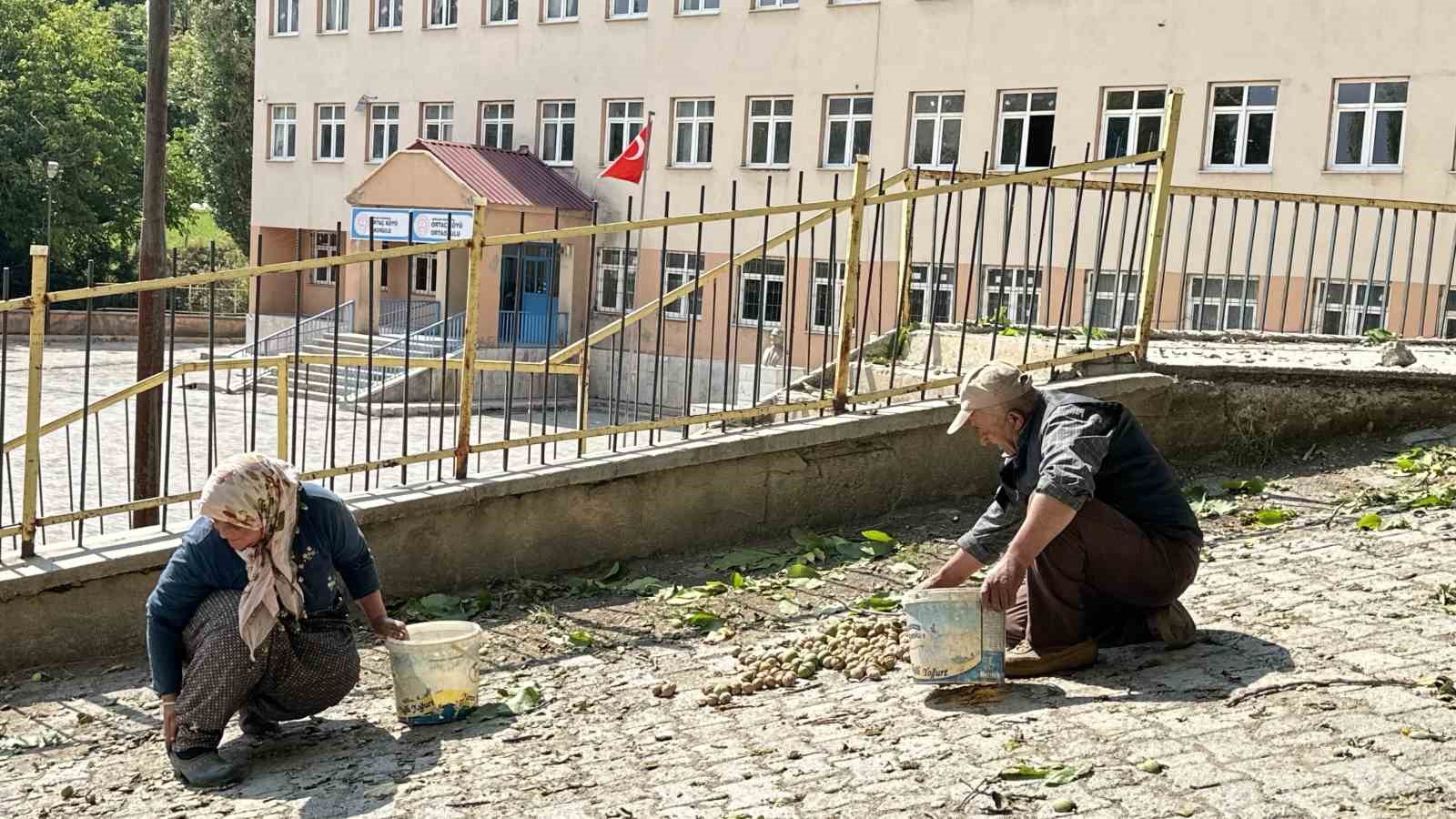 Okul yolunda ceviz ikramı
