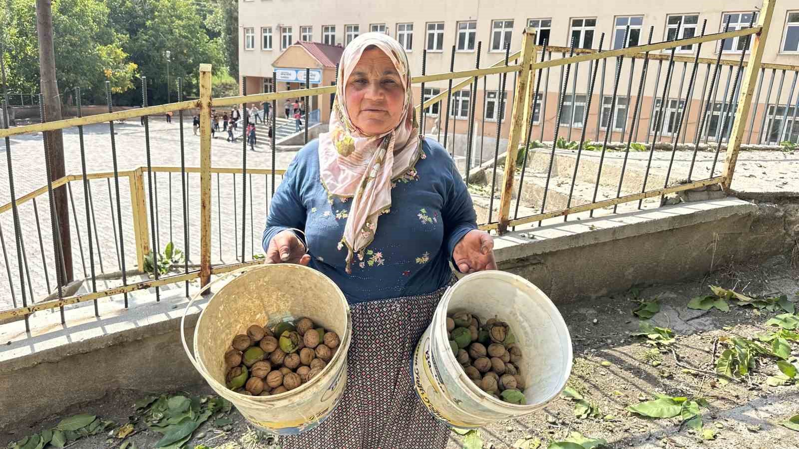 Okul yolunda ceviz ikramı
