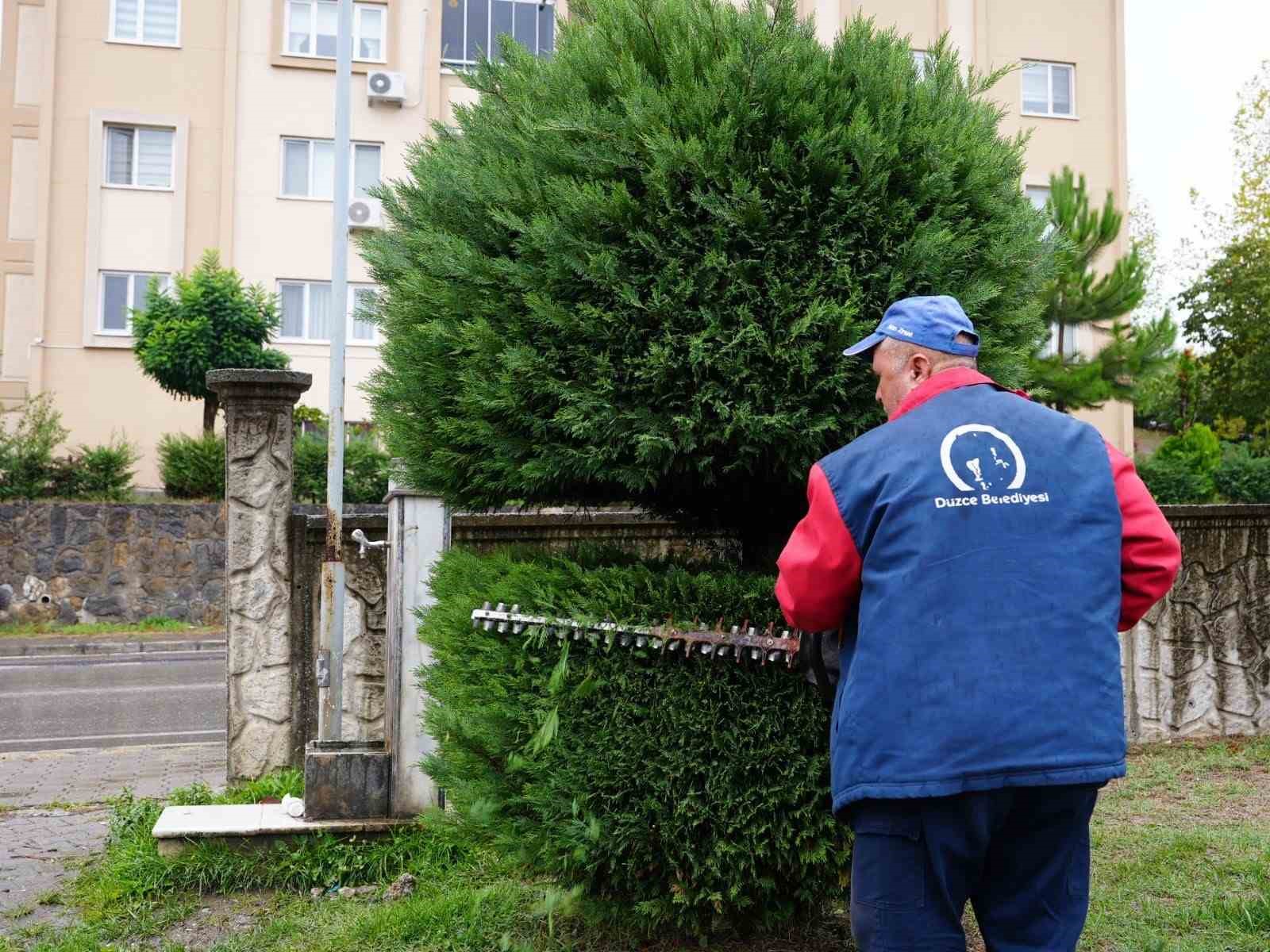 Düzce’de çevre düzenlemesi sürüyor
