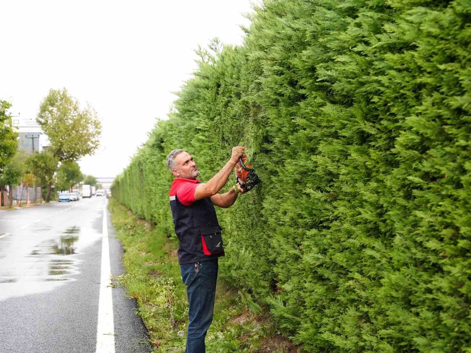 Düzce’de çevre düzenlemesi sürüyor
