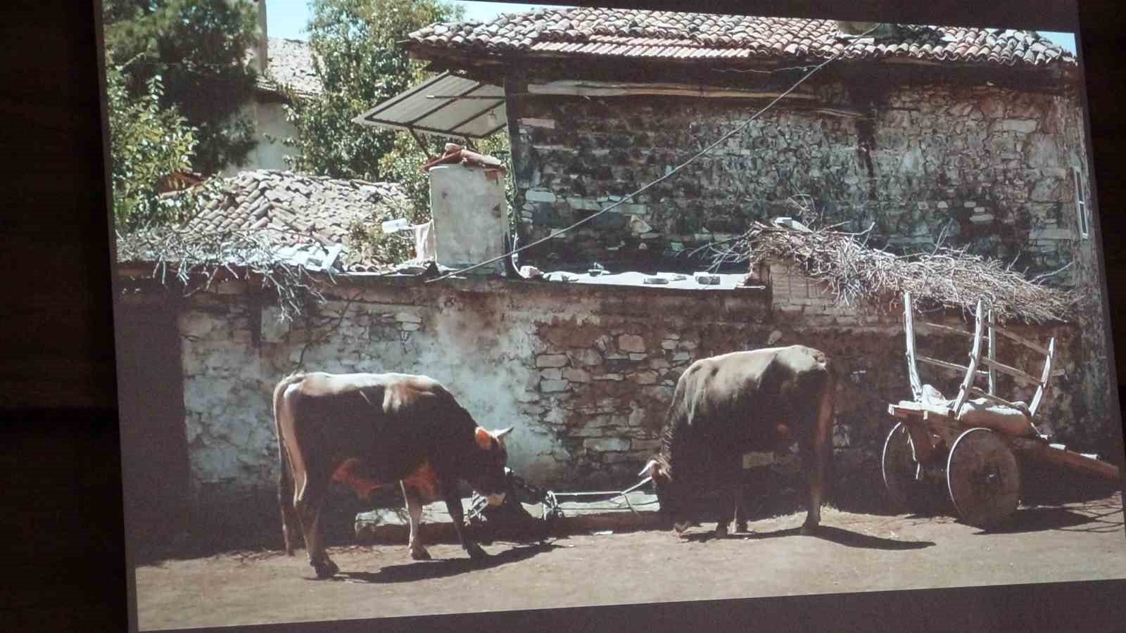 Muğla’da film gösterimi etkinliği
