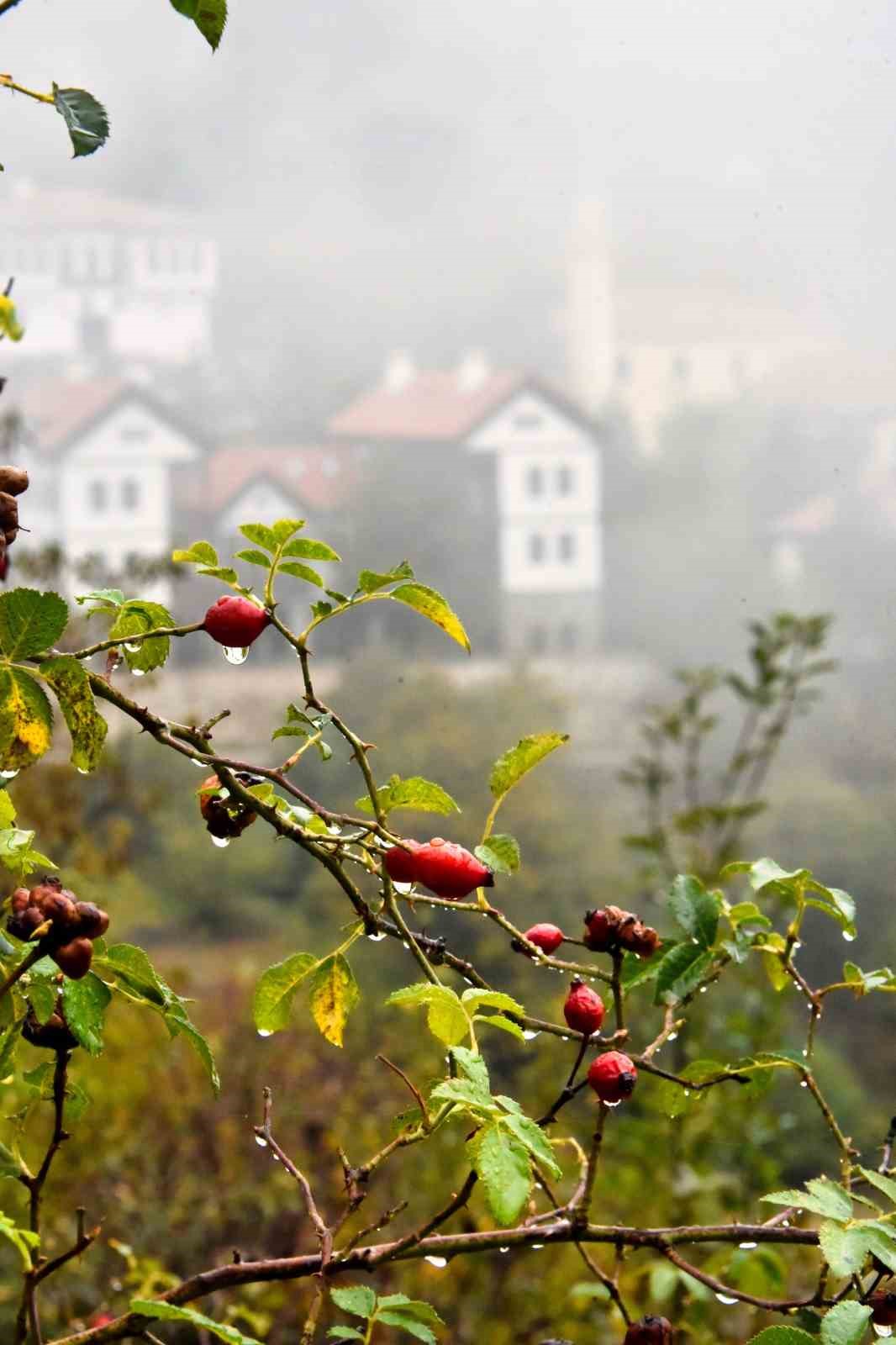 Tarihi Süleymaniye Mahallesi’nde sisli sonbahar güzelliği
