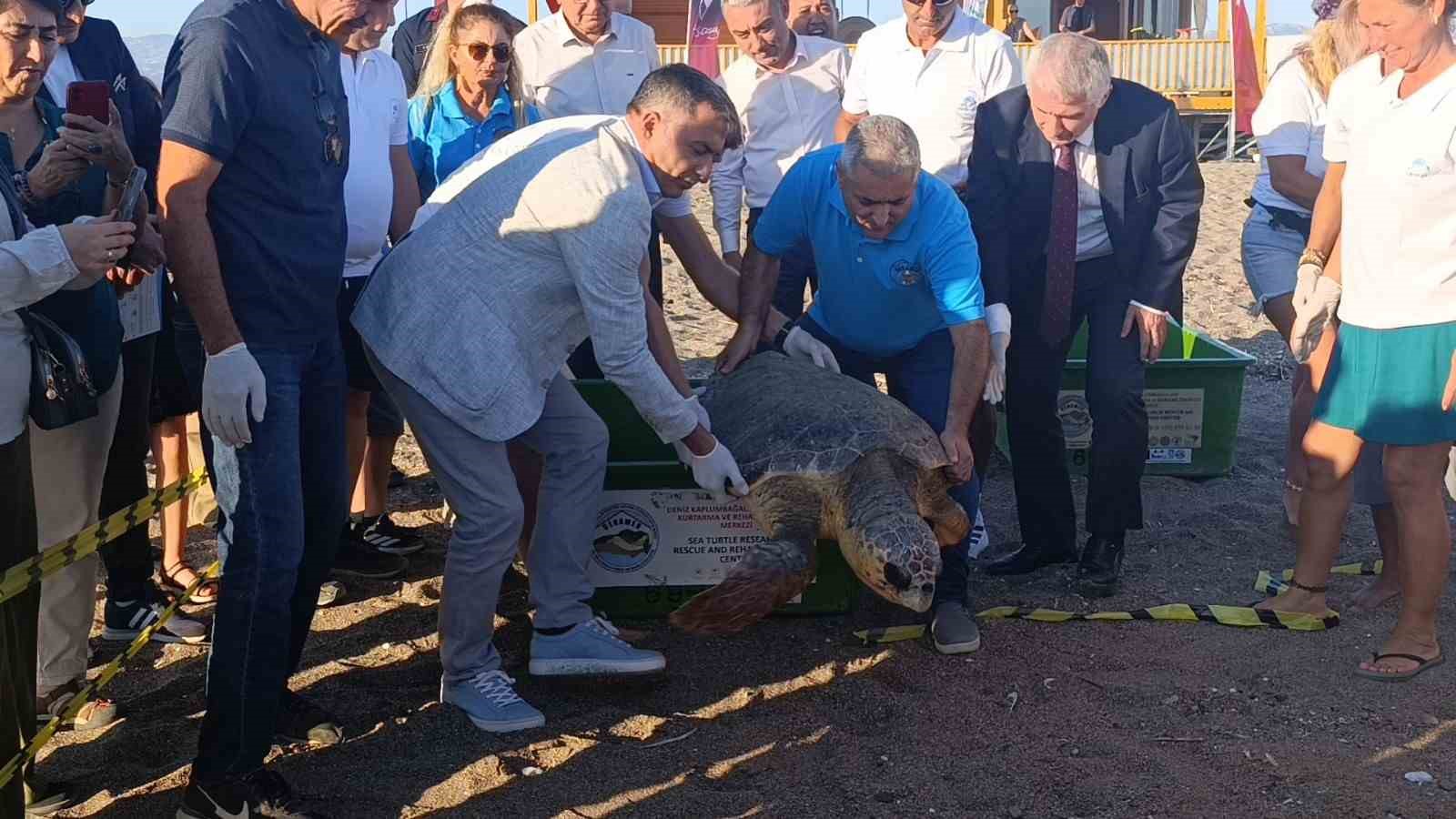 Tedavileri tamamlanan 2 caretta caretta denize bırakıldı
