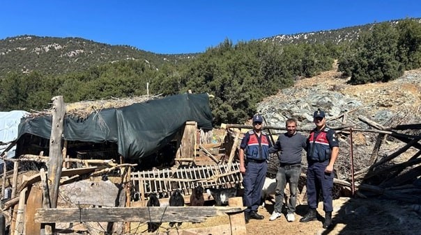 Burdur’da kaybolan 42 küçükbaş hayvan jandarma ekipleri tarafından bulundu
