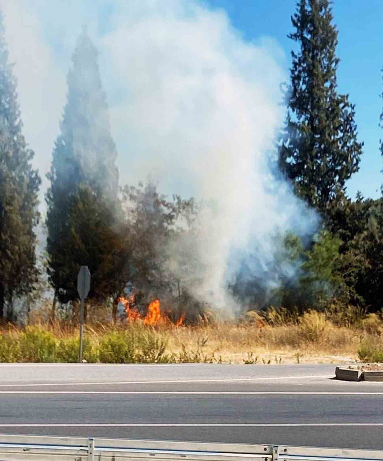 Yatağan-Milas karayolundaki yangın kısa sürede söndürüldü
