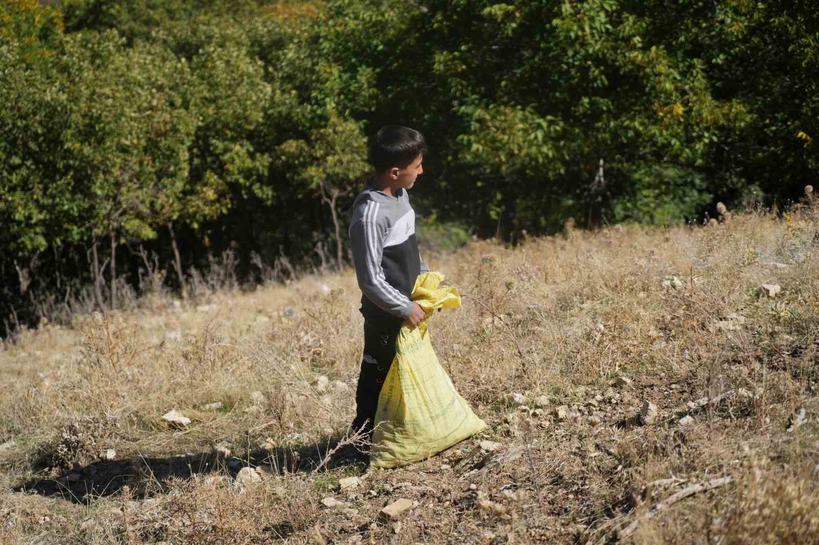 100 yıldır aynı heyecanla ceviz hasadı yapılıyor
