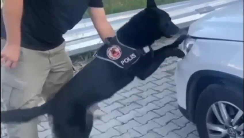 Samsun’da narkotik dedektör köpeği 1 kilo metamfetamini buldu
