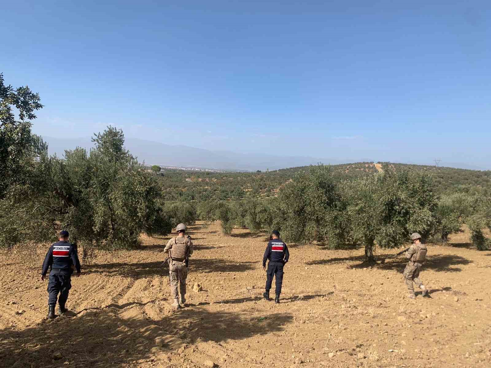 Balıkesir’de zeytinliklere jandarma koruması
