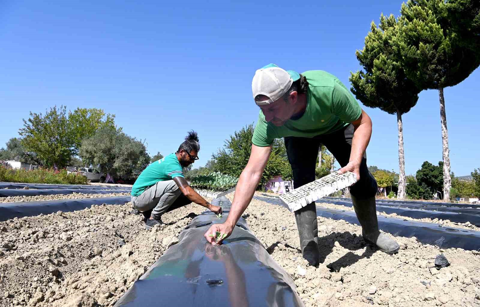 Adabahçe bu kış da sofralara lezzet ve bereket katacak
