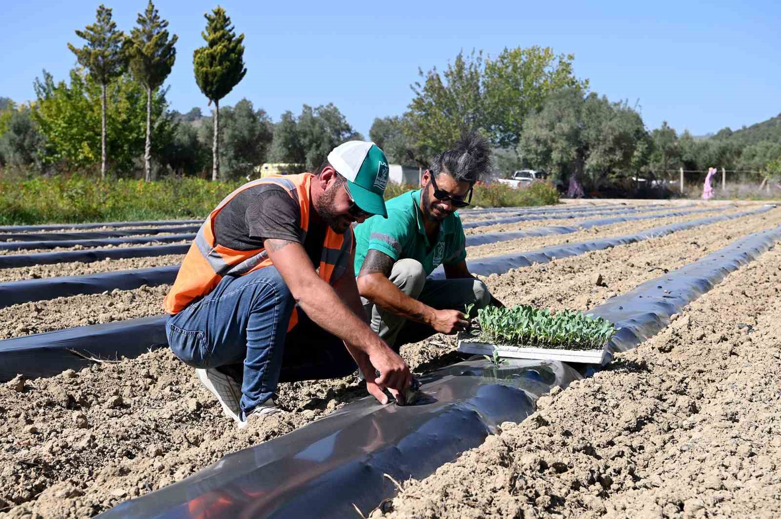 Adabahçe bu kış da sofralara lezzet ve bereket katacak
